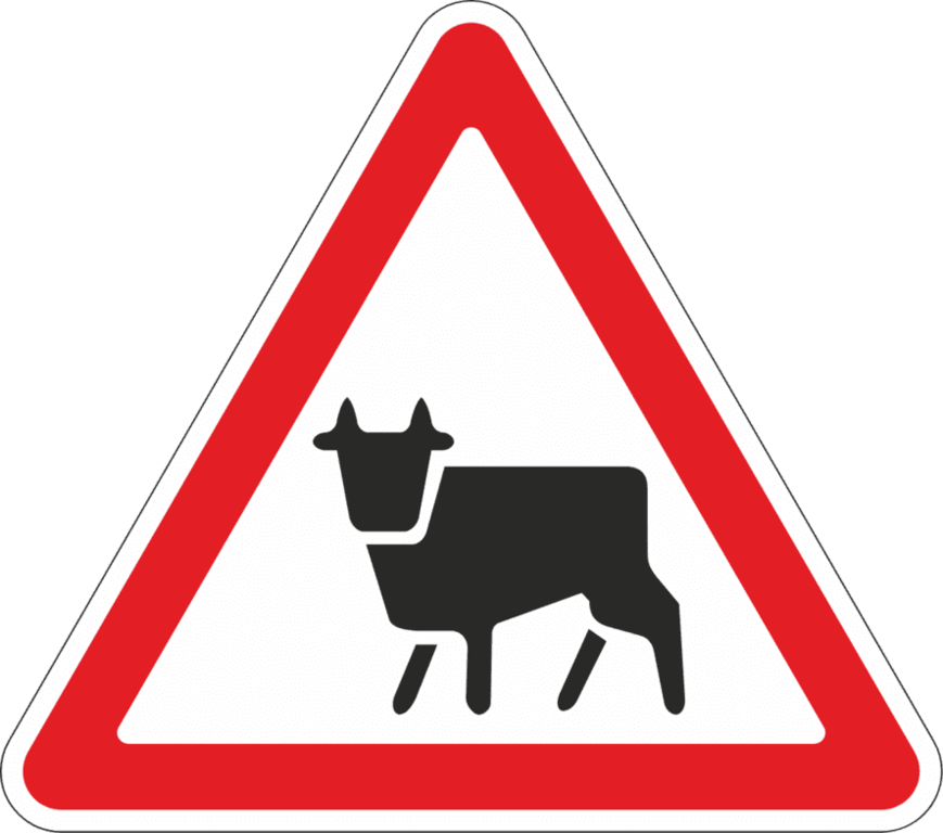 Дорожный знак 1.26 Перегон скота