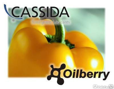 Cassida LTS 1 Низкотемпературная смазка для пищевой промышленности -50C