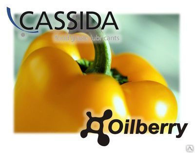 Cassida Chain Oil ISO VG 150, 1000- масла для цепей в пищевом производстве 22л.