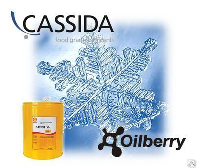 CASSIDA CHAIN OIL LT Пищевое низкотемпературное масло для цепей t.заст -69С 0,4 л.