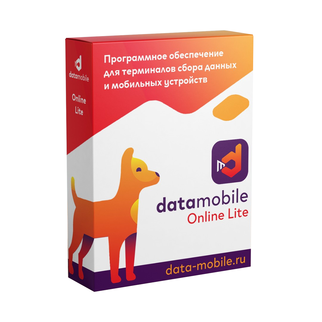 ПО DataMobile, версия Online Lite - подписка на 12 месяцев (DMOnlineLite12m)