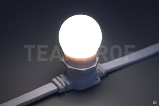 Светодиодная лампа для Белт-лайта TeamProf, 24В, 2 Вт, цоколь Е27, d=45 мм, белая #1