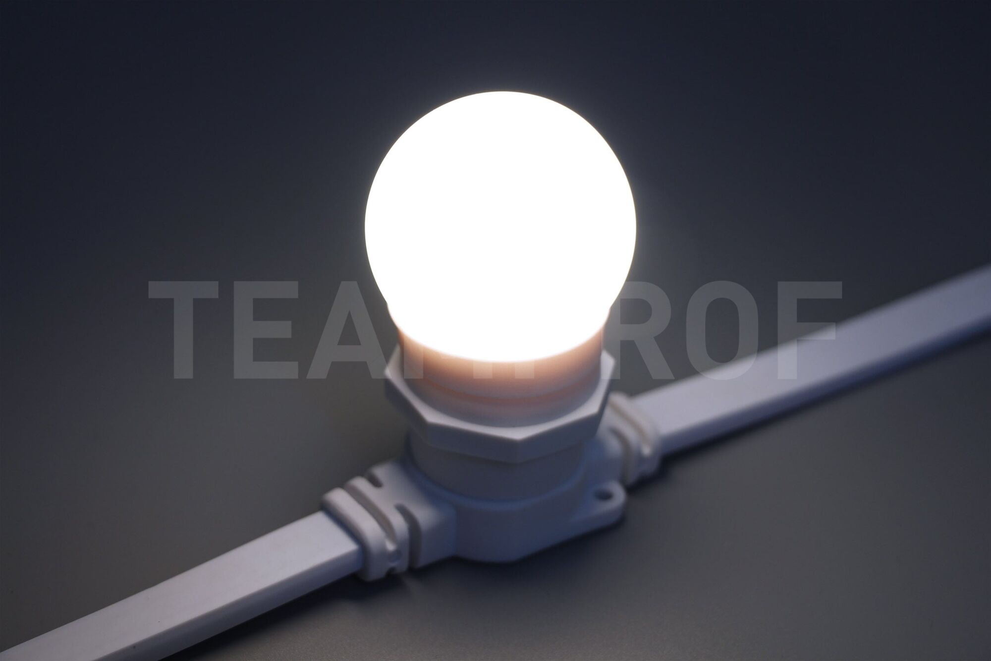 Светодиодная лампа для Белт-лайта TeamProf, 24В, 2 Вт, цоколь Е27, d=45 мм, белая