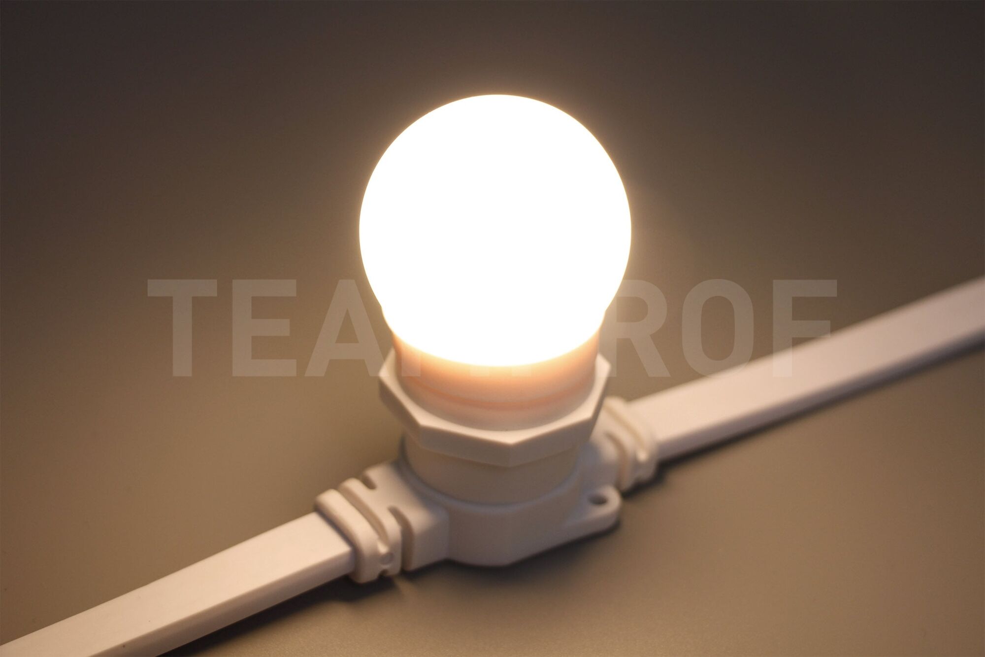 Светодиодная лампа для Белт-лайта TeamProf, 24В, 2 Вт, цоколь Е27, d=45 мм, тёплая белая