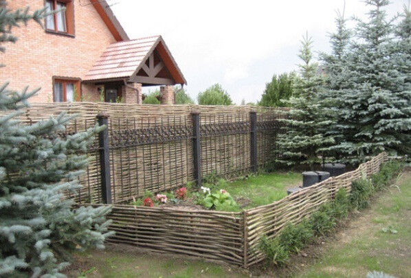 Забор плетень лоза. Живая изгородь плетень Ива. Забор из ивовой лозы. Плетеный заборчик.