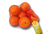 Клипсатор пневматический автоматический для овощей: картофеля, лука, моркови, свеклы, корнеплодов КПА-30 #3