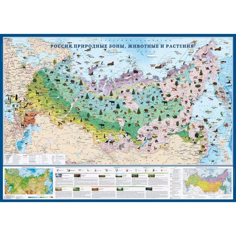 Настенная карта России физическая (природные зоны, животные и растения) 1:6 200 000 Атлас Принт