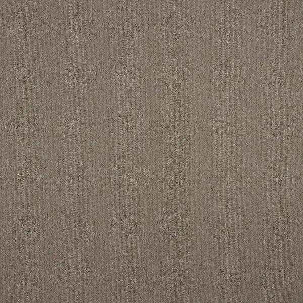 Ковровое покрытие «Колибри», 4 м, цвет светло-коричневый ЗАРТЕКС None