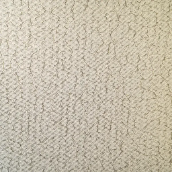 Ковровое покрытие «Саванна», 3.5 м, цвет серо-бежевый ЗАРТЕКС None