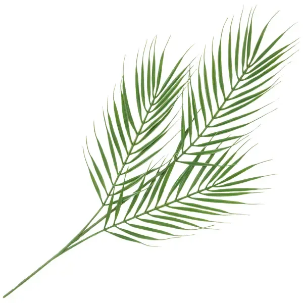 Ветка декоративная Пальма 60 см цвет зелёный Без бренда Искусственное растение