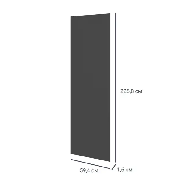 Дверь для шкафа Лион 59.4x225.8x1.6 цвет графит Без бренда Лион Фасад для шкафа