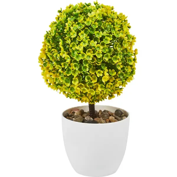Искусственное растение Самшит h30 см ПВХ цвет зеленый Без бренда None