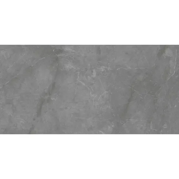 Керамогранит Montecarlo Grey 60x120 см 2.88 м² матовый цвет серый Без бренда Marble