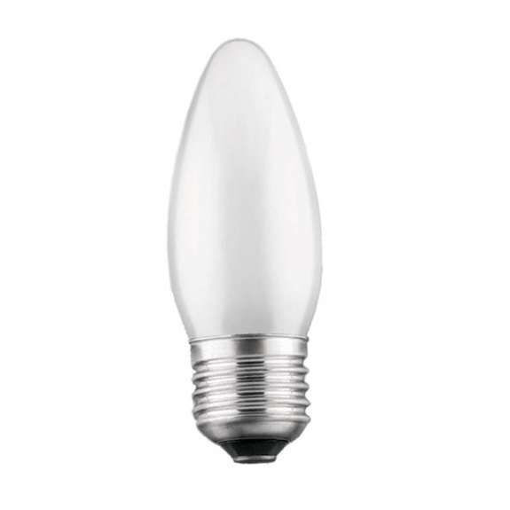 Favor Лампа накаливания ДСМТ 230-40Вт E27 (100) Favor 8109019