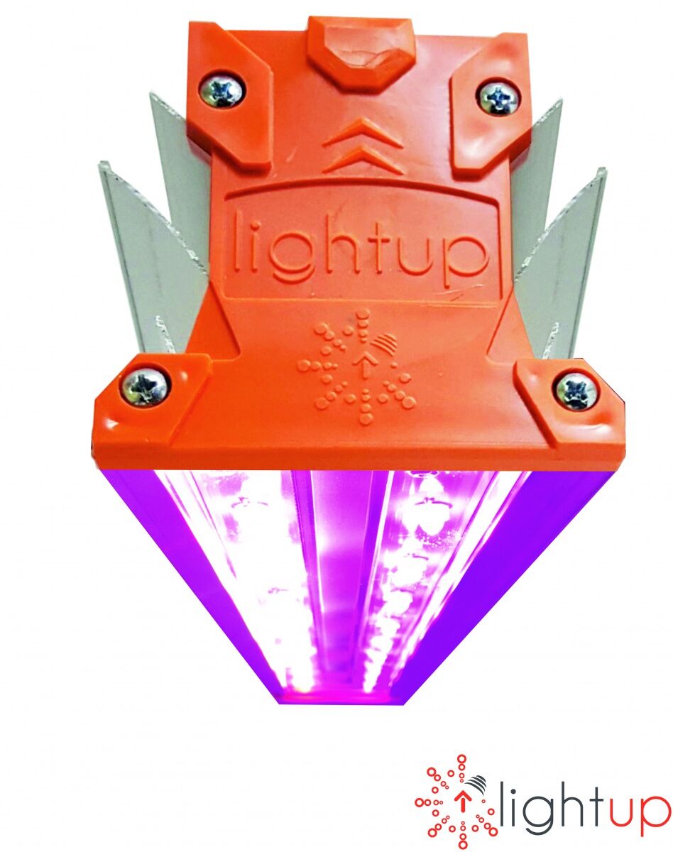 Фитосветильник LP-PROM FITO 50M1 Универсальный LightUp